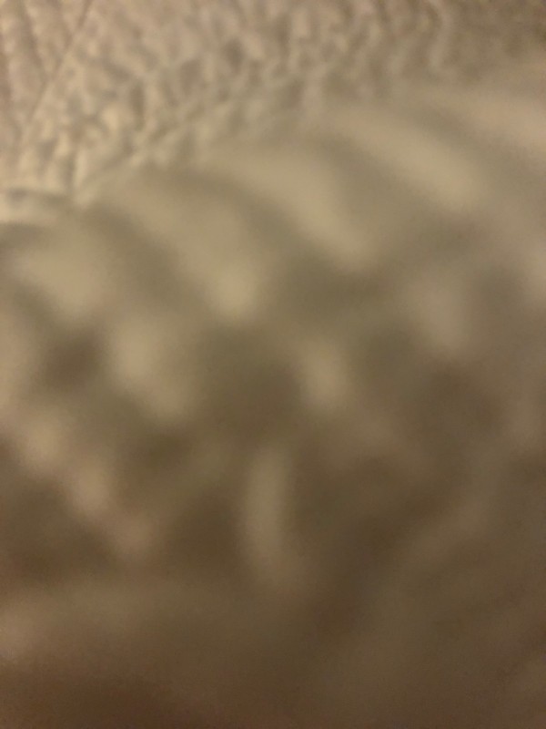 Recherche un restaurant de pizza Pas Cher spécialisé dans les calzones à Bordeaux