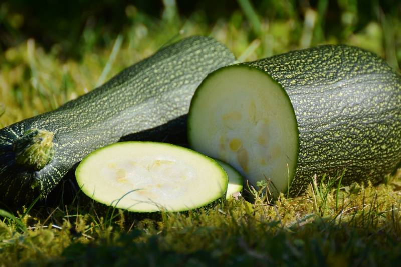 Conseils pour une délicieuse pizza au courgettes maison